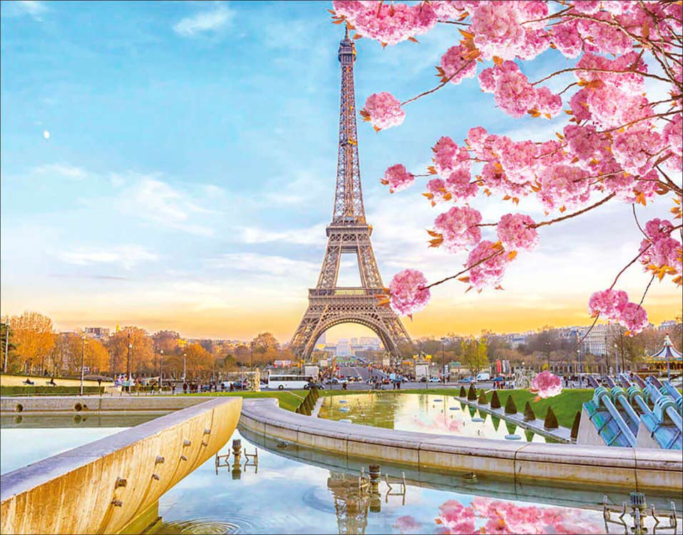 Алмазная вышивка Цветной Цветущий Париж, 40x50 см