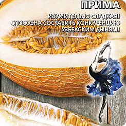 

Семена Дыня Прима, 10 шт, Уральский дачник, 217648