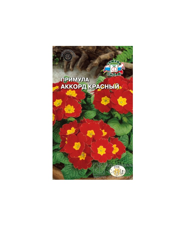 

Семена Примула бесстебельная Аккорд Красный, 5 шт, СеДеК
