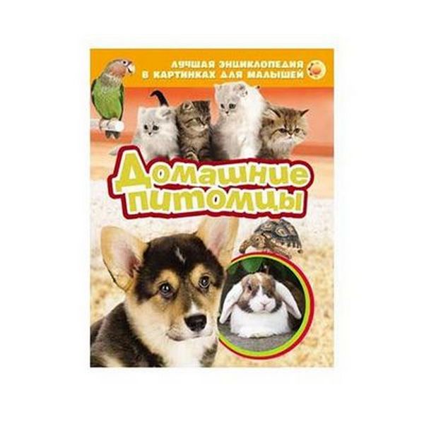 

Домашние питомцы