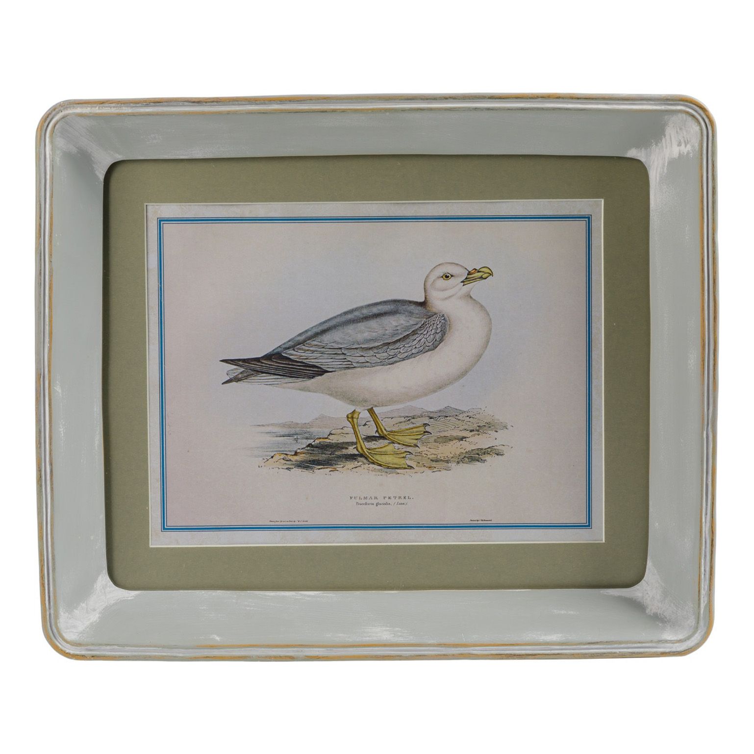 Картина прямоугольная Glasar Морская птица 25 х 3 х 30 см печать