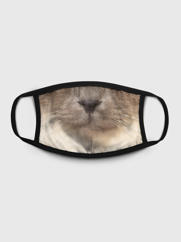 

Многоразовая маска унисекс Burnettie Кошка Цвета Какао, Разноцветный, Кошка Цвета Какао