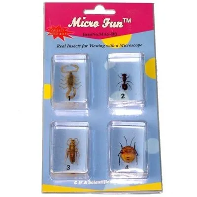 Набор Микропрепаратов Научные развлечения Мелкие насекомые в акриловых призмах V.1 НР00033