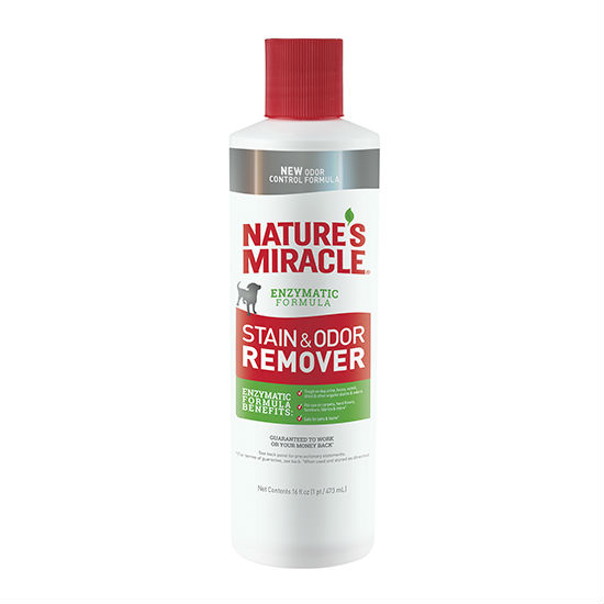 фото Уничтожитель пятен и запахов от собак nature's miracle dog stain&odor remover, 473мл nature’s miracle