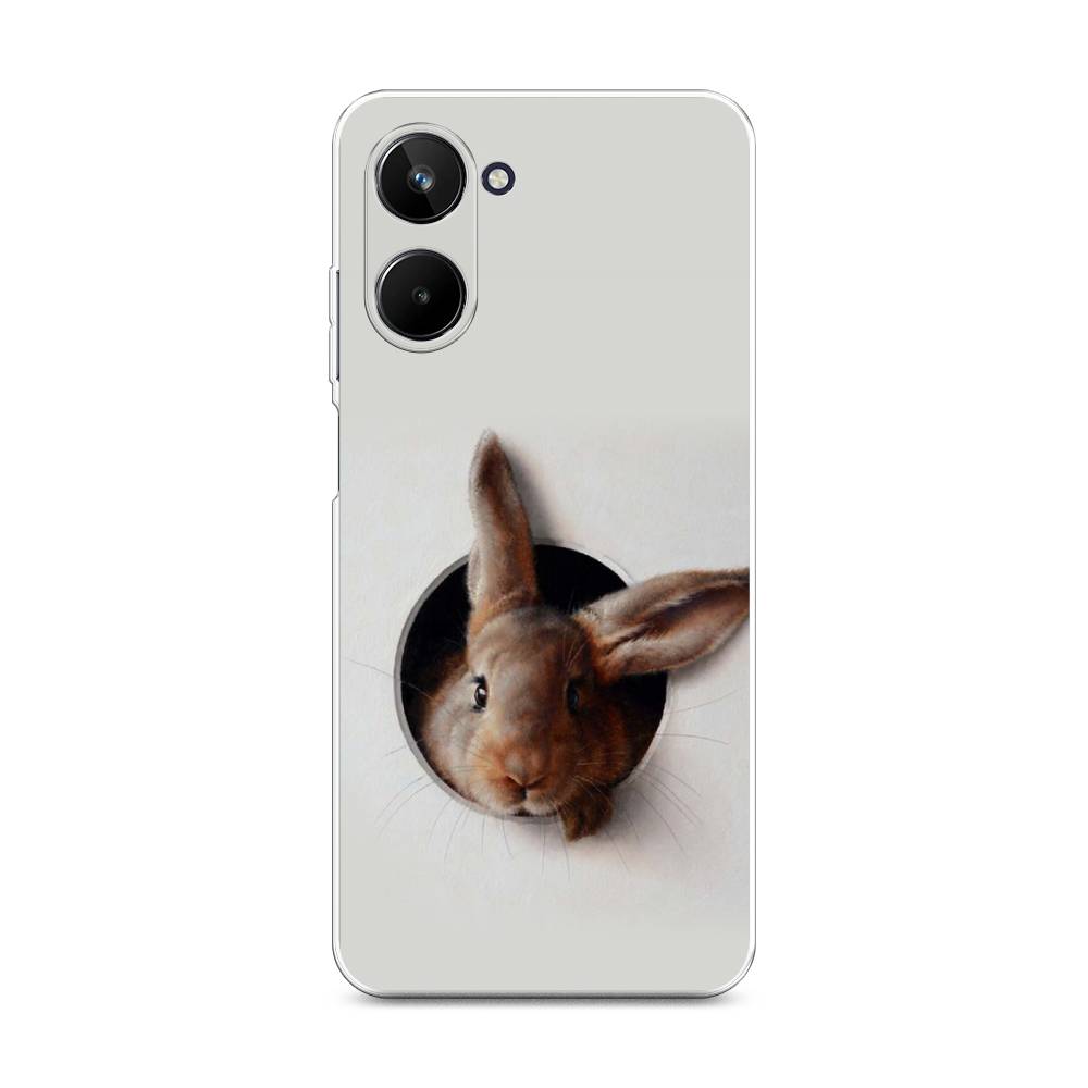 

Чехол на Realme 10 4G "Любопытный кролик", Серый;коричневый, 2512150-1