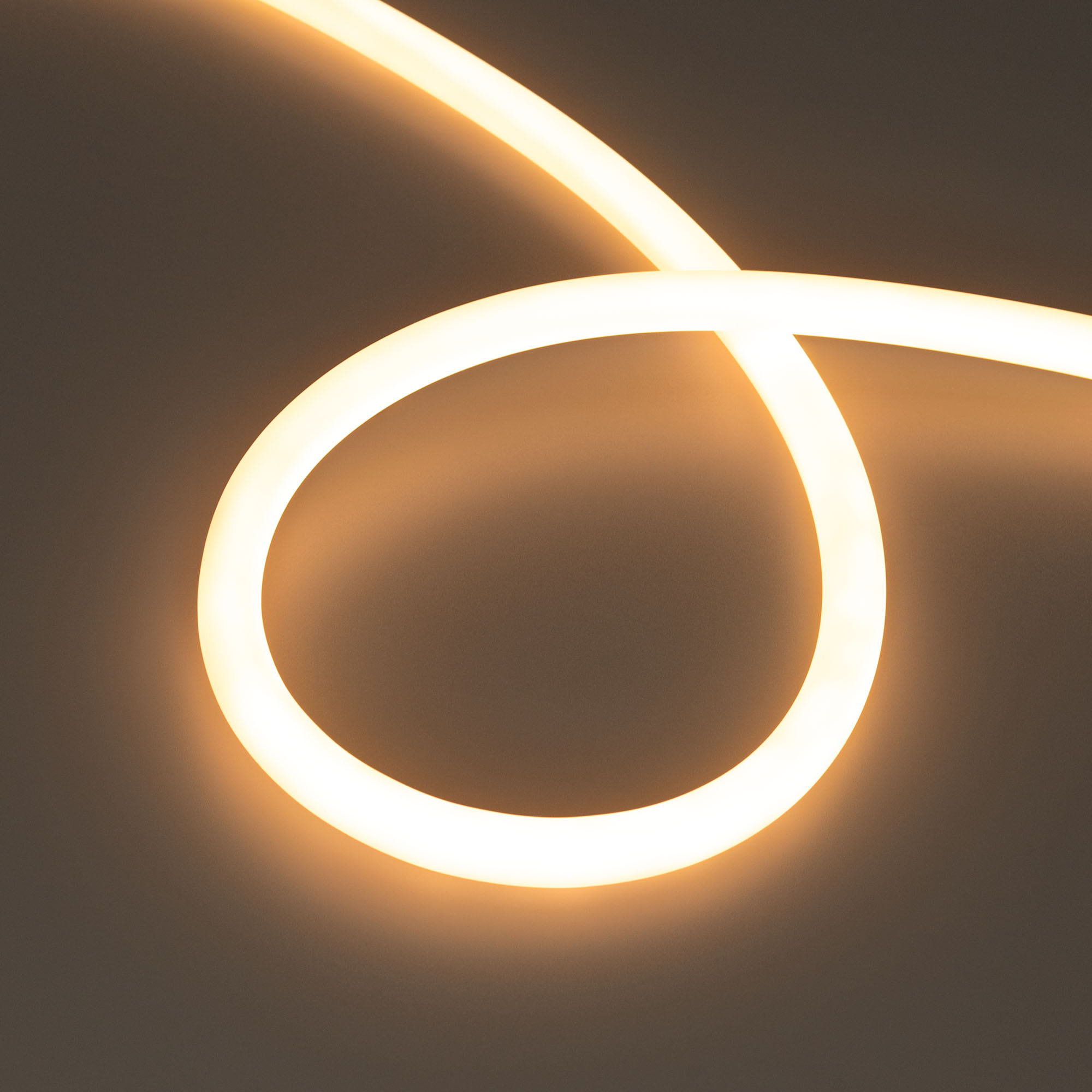 

Неон Arlight 043814, 043814