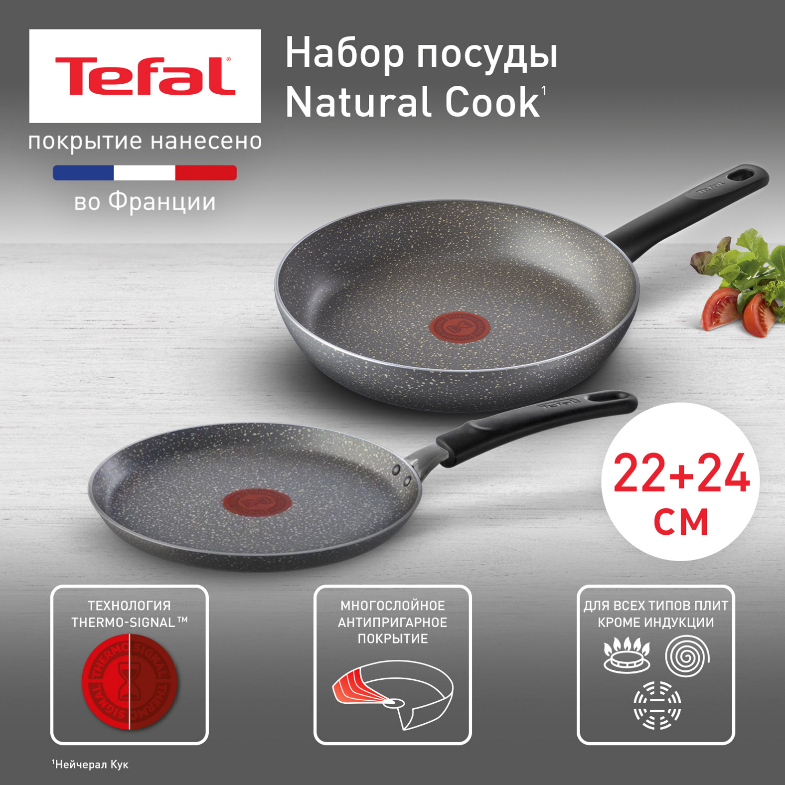 

Набор сковород Tefal Natural Cook 24 см, блинная 22 см, Серый, 04213124+04213522