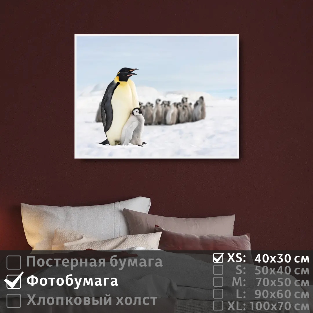 

Постер на фотобумаге ПолиЦентр Про семью пингвинов 40х30 см, ПроСемьюПингвинов