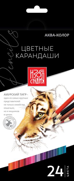 

Набор цветных карандашей Аква-колор Изостудия, 24 цвета IZO-CP24