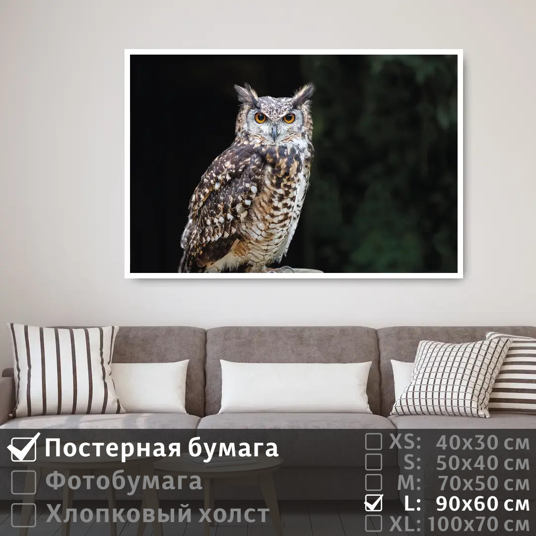 

Постер на стену ПолиЦентр Сова сидит на ветке 90х60 см, СоваСидитНаВетке