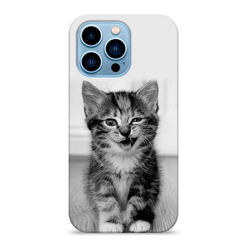 

Пластиковый чехол "Подмигивающий котенок" на Apple iPhone 13 Pro, 14320-1