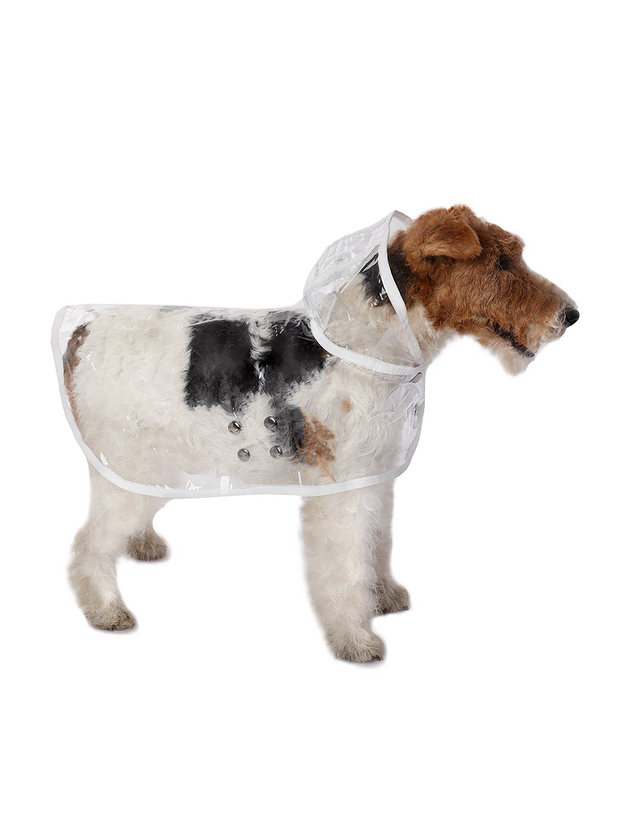 фото Дождевик для собак монморанси прозрачный, унисекс, s, длина спины 22 см