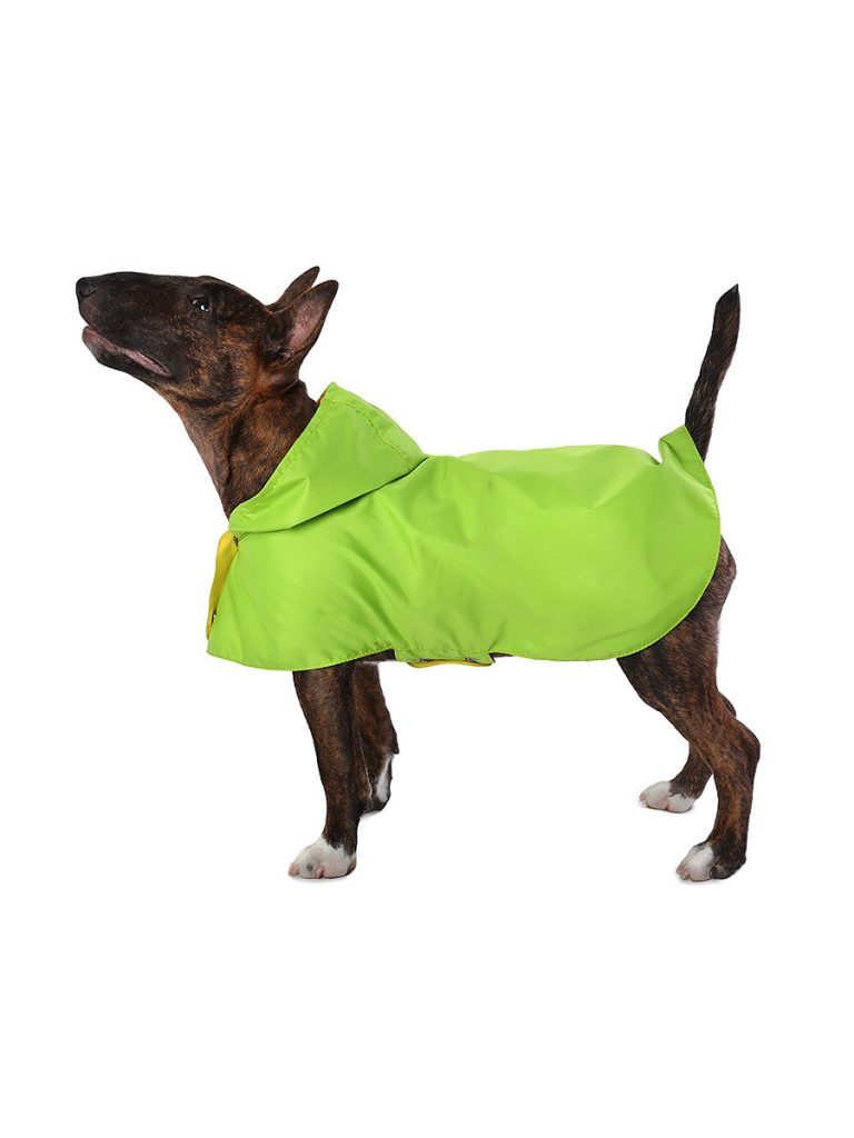 Дождевик для собак Монморанси Стиль, унисекс, унисекс, зеленый, М, длина спины 26 см