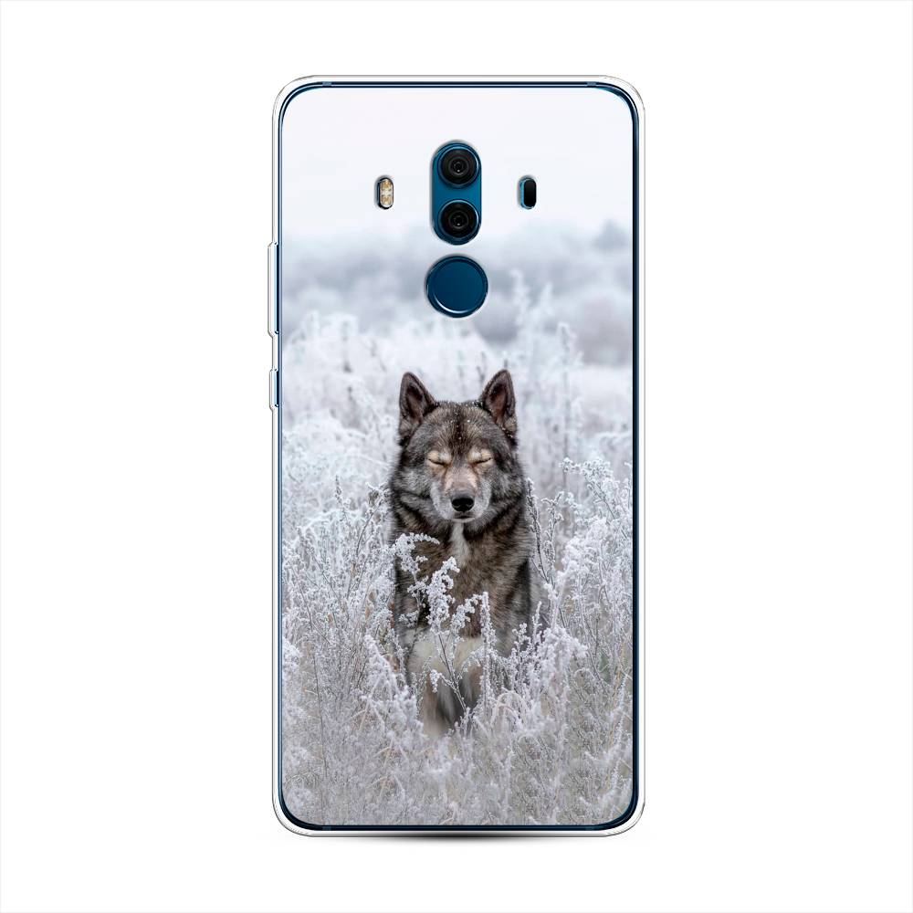 Чехол Awog  на Huawei Mate 10 Pro 