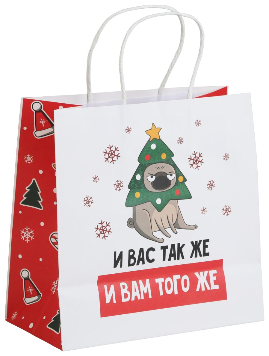 

Пакет подарочный А вас также, 22 х 22 х 11 см, Разноцветный