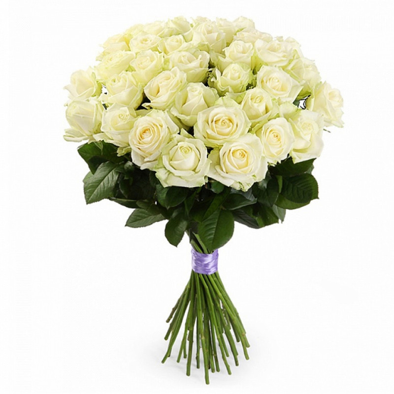 фото Букет из 31 белой розы аваланш buy buket a3150