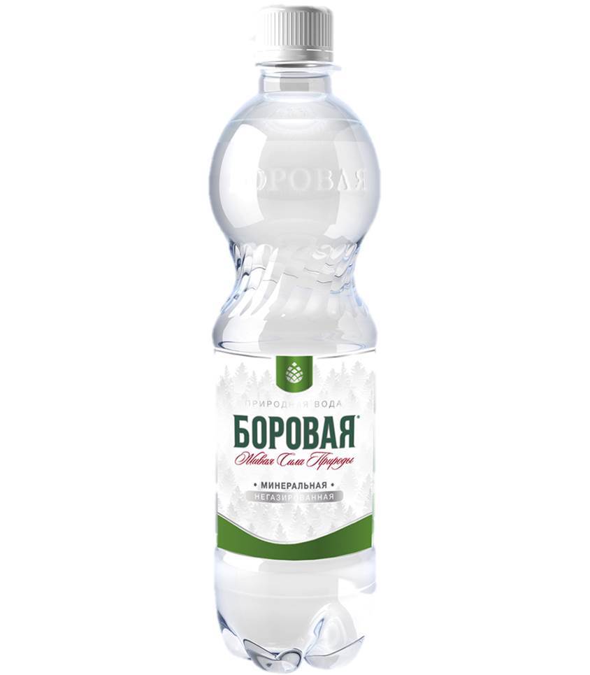 

Вода минеральная Боровая негазированная, лечебно-столовая, 500 мл