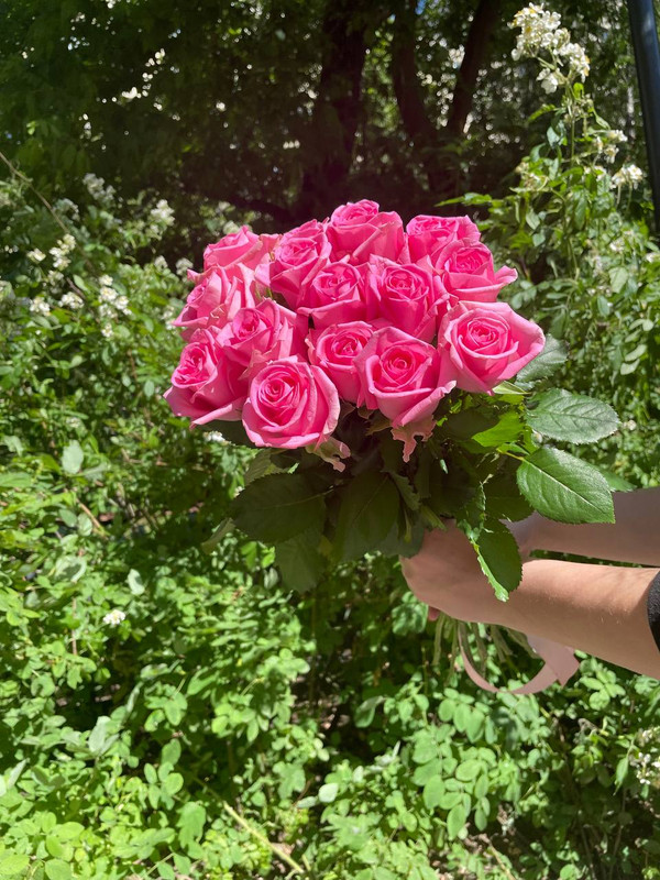фото Букет из 15 розовых роз ревиваль 60см buy buket rev1560