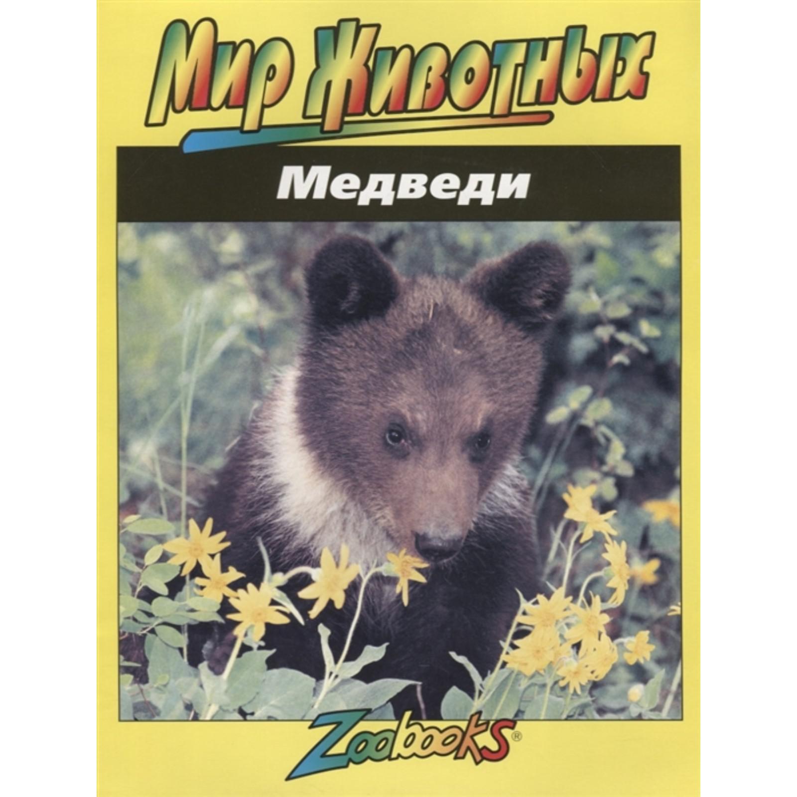 

Медведи, Мир животных