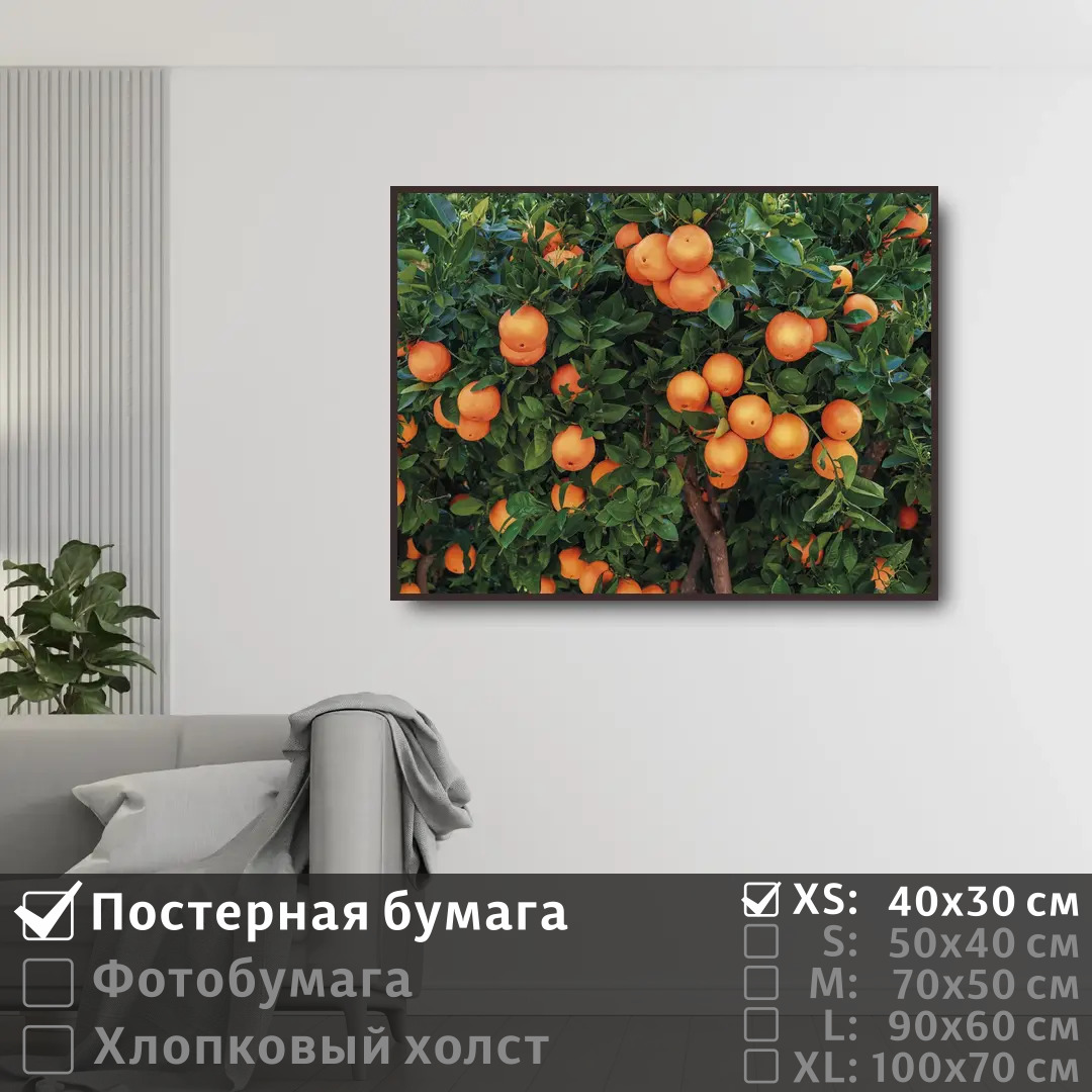 

Постер на стену ПолиЦентр Испанские апельсины 40х30 см, ИспанскиеАпельсины