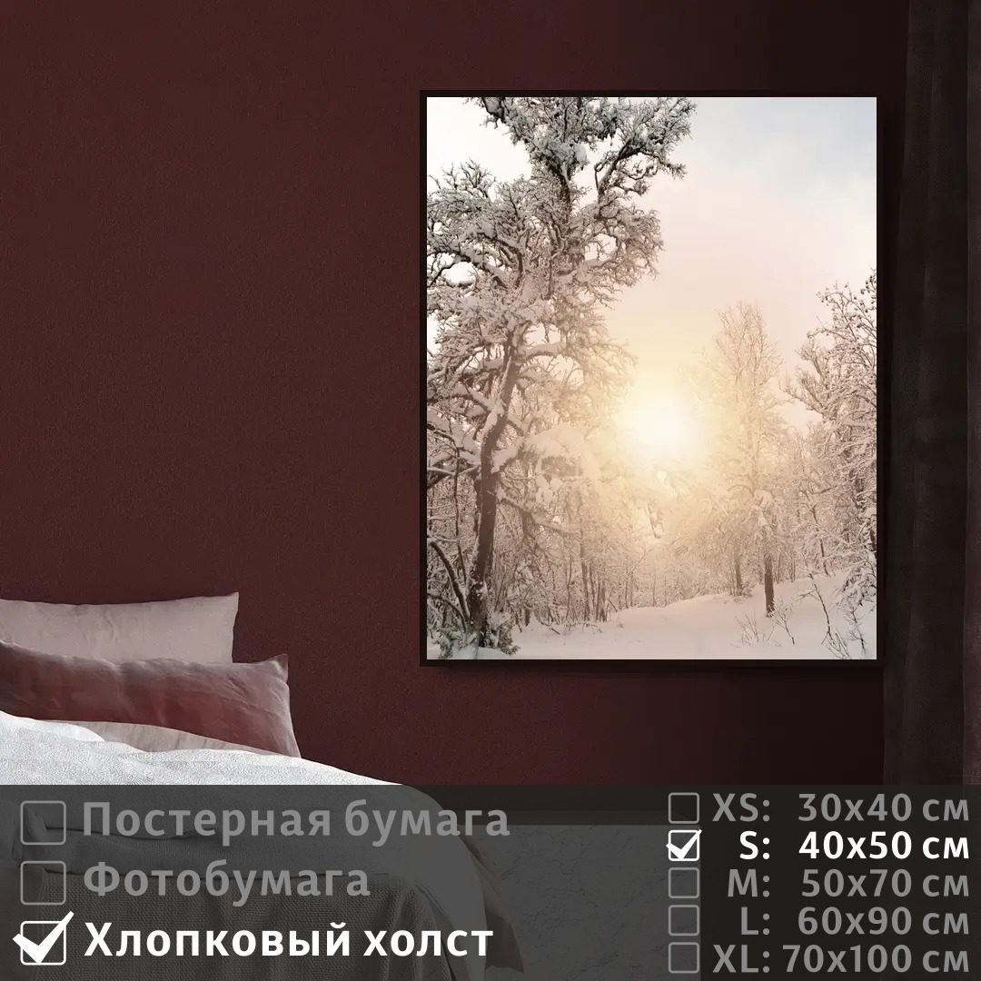 

Постер на холсте ПолиЦентр Лес зимний пейзаж 40х50 см, ЛесЗимнийПейзаж