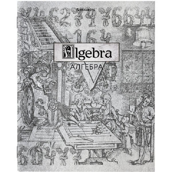 

Тетрадь предметная Brauberg 404012 Silver алгебра 48 листов 1 шт, Silver