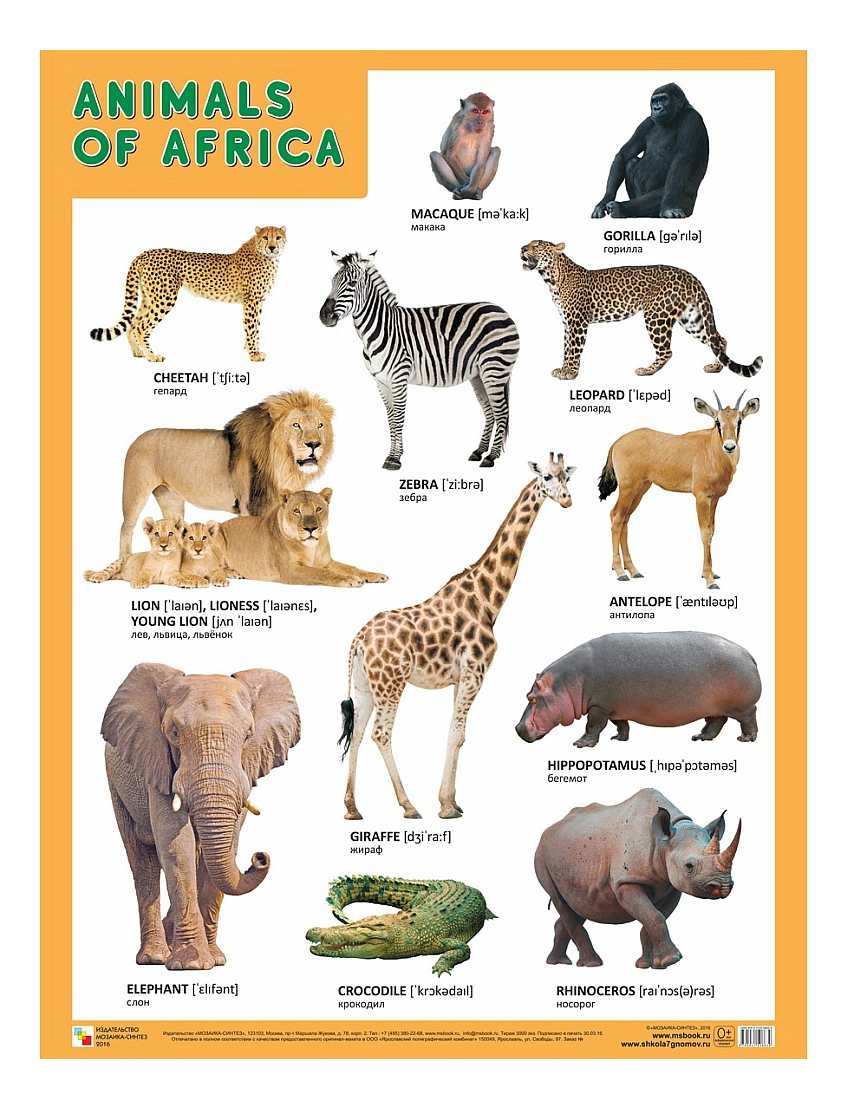 

Интерактивный плакат Мозаика-Синтез Animals Of Africa Животные Африки, Животные Африки