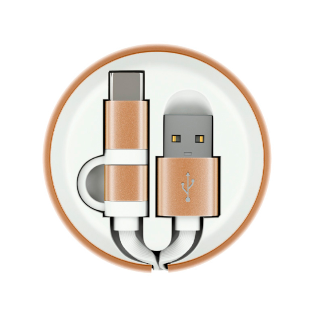 

Кабель InterStep MicroUSB+TypeC USB 0,9м White/Gold