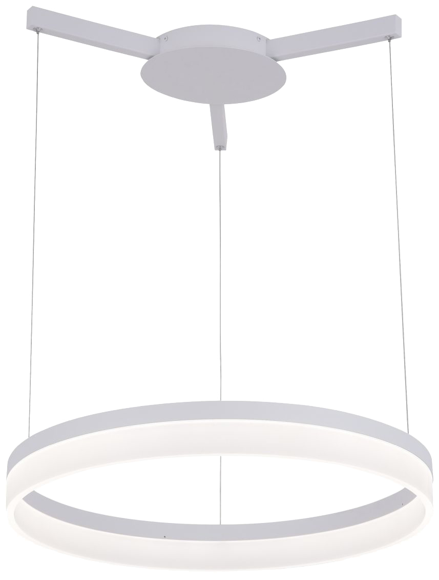 

A2503SP-1WH Подвесной светодиодный светильник Arte Lamp