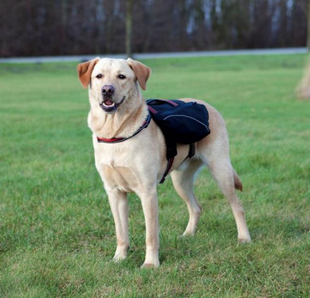 фото Шлейка-рюкзак для собак trixie backpack m, размер 29×15см., черный