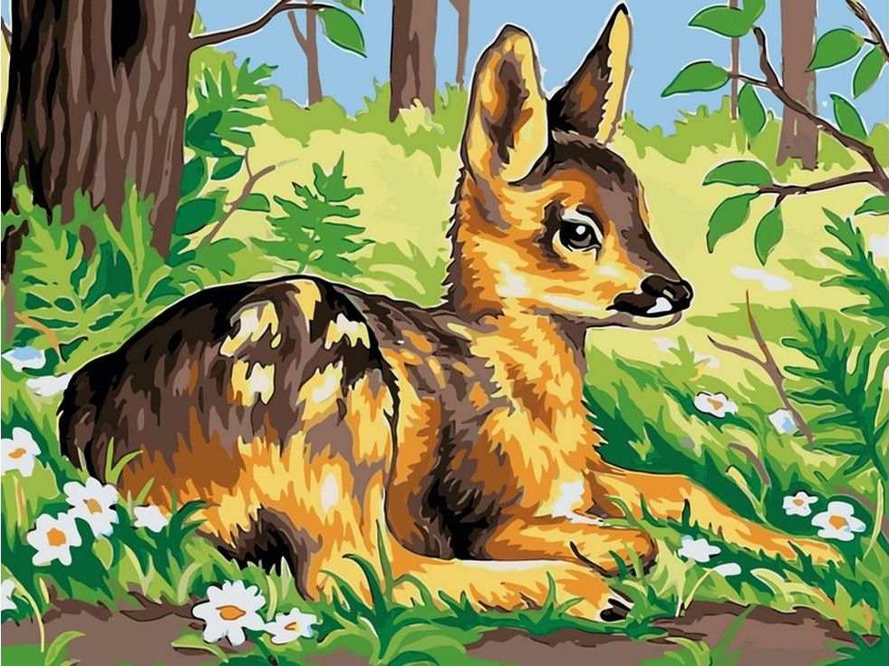 

Картина по номерам Цветной Маленькая косуля, 30x40, Маленькая косуля