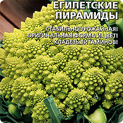 

Семена Капуста цветная Египетские пирамиды, 0,1 г, Уральский дачник, 175064