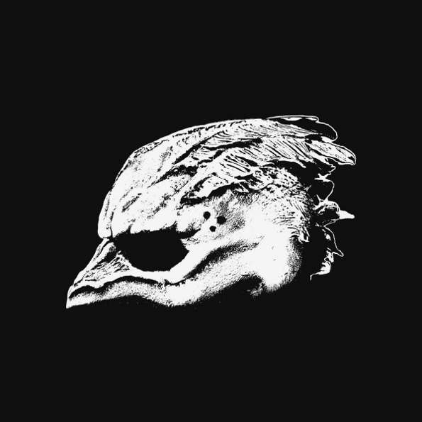 

Legend Of The Seagullmen "Legend Of The Seagullmen" (LP)