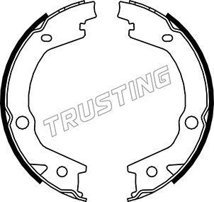 

Тормозные колодки TRUSTING стояночного тормоза 46220