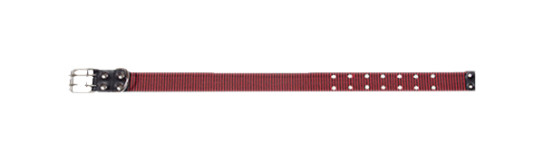 Ошейник для собак Зооник, капроновая лента, коричневый, 45-70 см x 45 мм