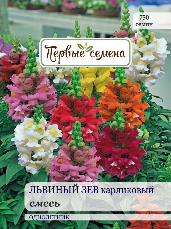

Семена цветов Первые семена Львиный зев карликовый, смесь, 0,2 г