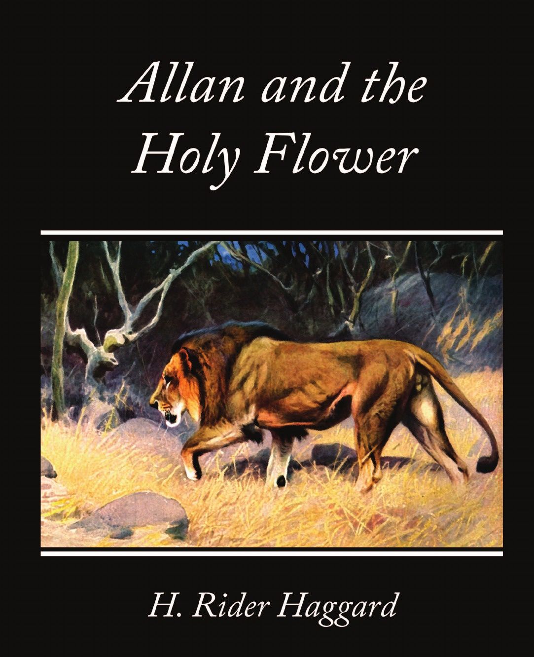 

Allan And The Holy Flower