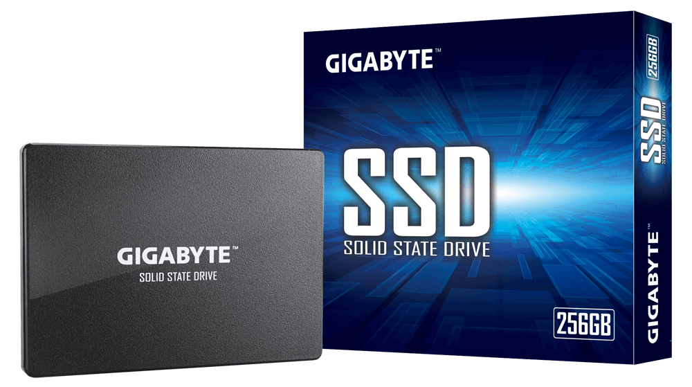 SSD накопитель GIGABYTE GP-GSTFS31256GTND 2.5