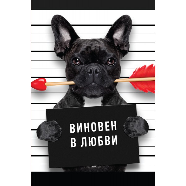 

Юмор, Открытка №7, 273 849