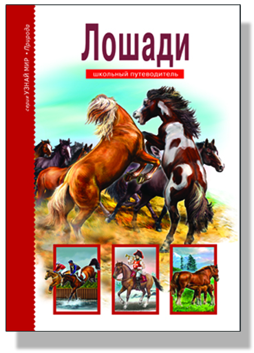фото Книга лошади тимошка