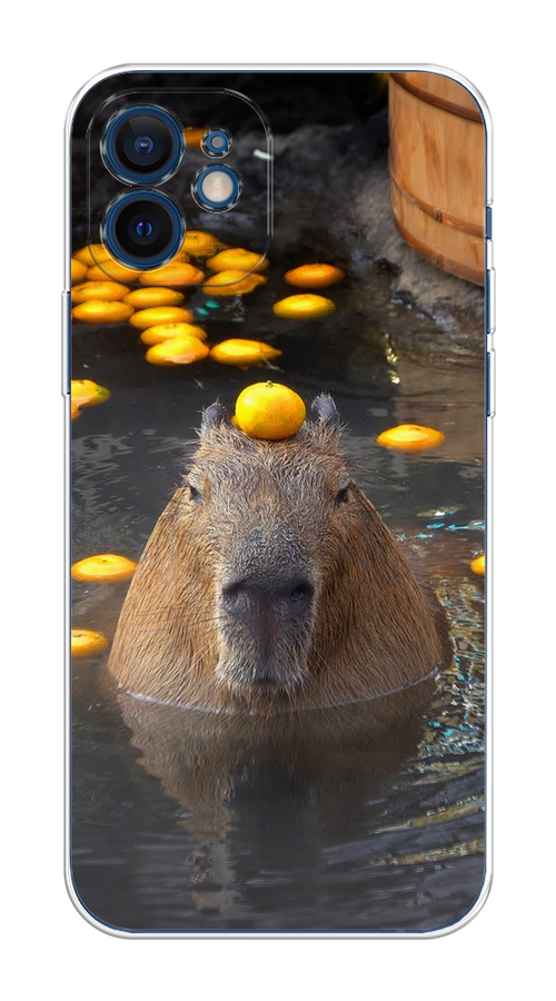 

Чехол на Apple iPhone 12 Mini "Капибара отдыхает", Коричневый;оранжевый;серый, 12650-1