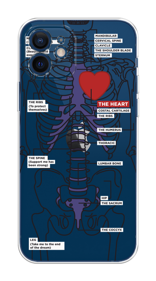 

Чехол на Apple iPhone 12 Mini "Скелет человека", Прозрачный;синий;красный, 12650-1