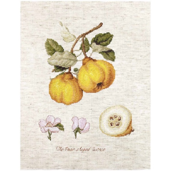 

Набор для вышивания Luca-s BL22430 Айва