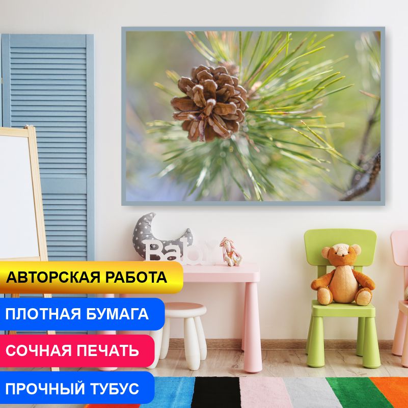 

Постер на стену ПолиЦентр Сосновая Шишка Крупным Планом Урал 50х40 см, АвторАлексейКлянинСосноваяШишкаКрупнымПланомУрал