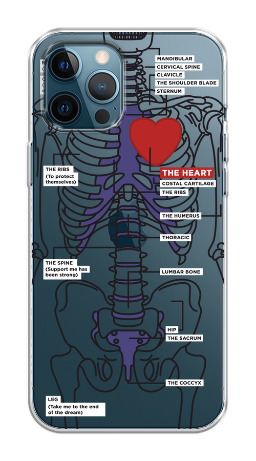 

Чехол на Apple iPhone 12 Pro Max "Скелет человека", 12750-1