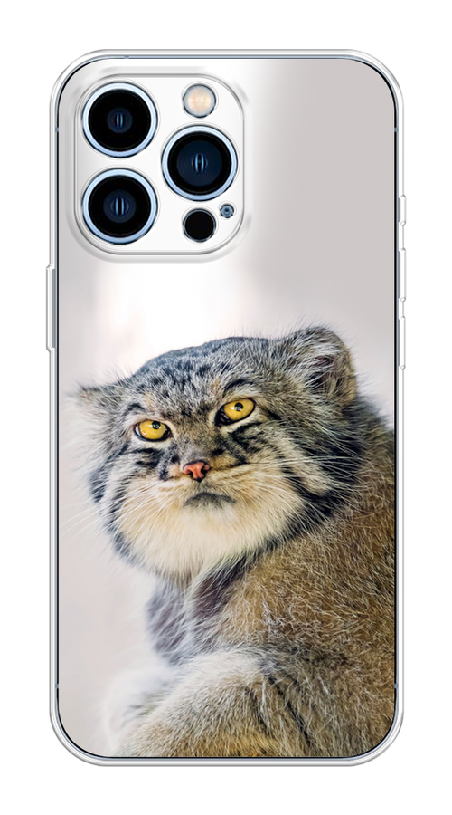 

Чехол на Apple iPhone 13 Pro "Кот манул 1", Серый;белый;желтый, 14350-1