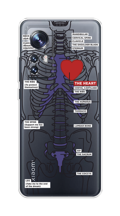 

Чехол на Xiaomi 12/12X/12S "Скелет человека", Прозрачный;синий;красный, 312350-1