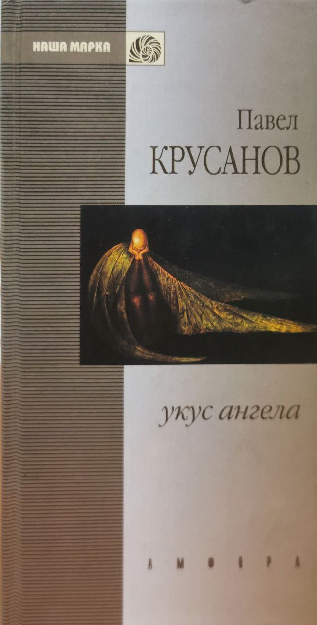 фото Книга укус ангела амфора