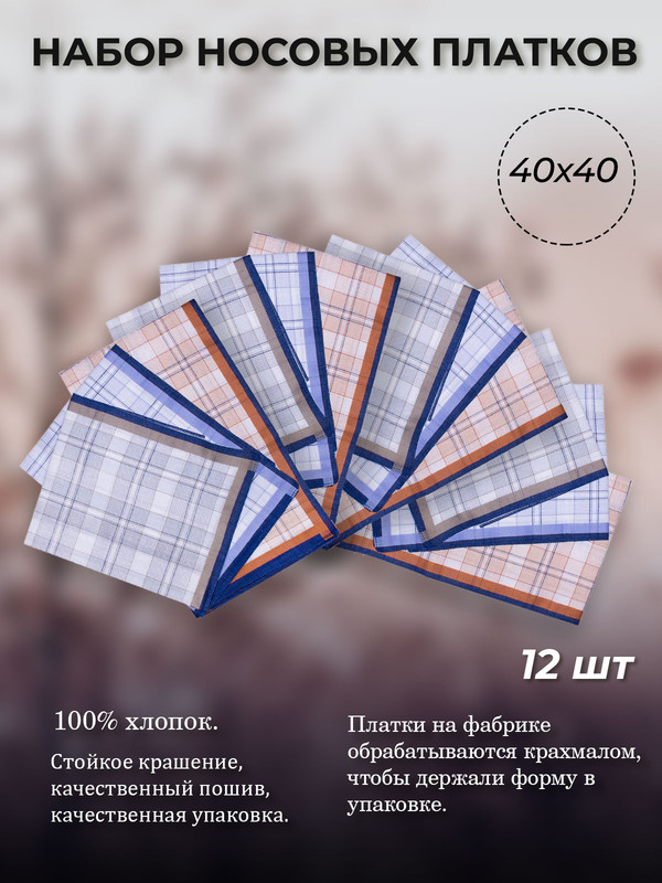

Комплект носовых платков мужских Etteggy 45430(12) голубой/серый/коричневый 40х40 см, Разноцветный, 45430(12)