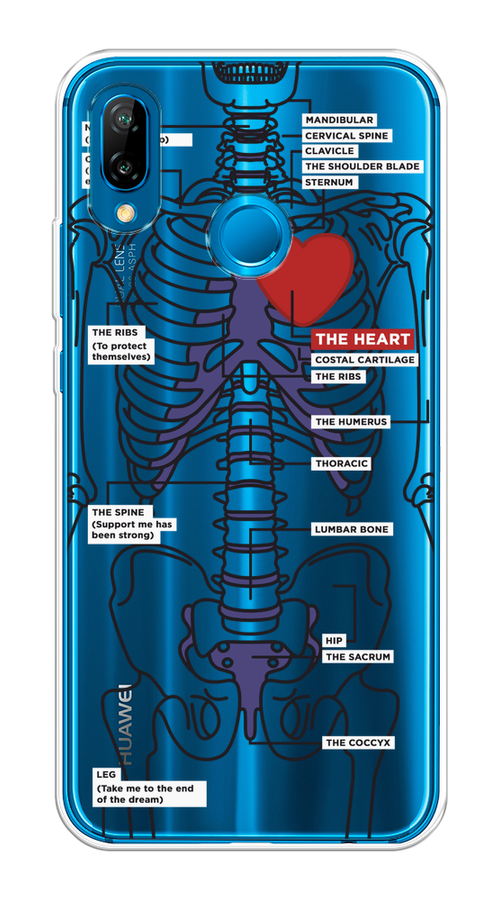 

Чехол на Huawei P20 Lite/Nova 3E "Скелет человека", Прозрачный;синий;красный, 64450-1